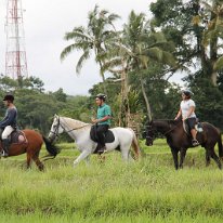 Horse Riding 01