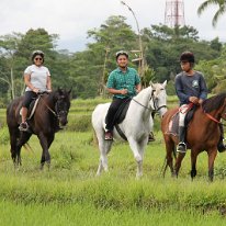 Horse Riding 05