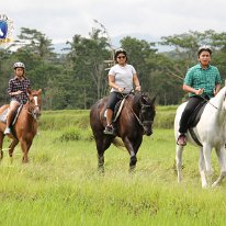 Horse Riding 08