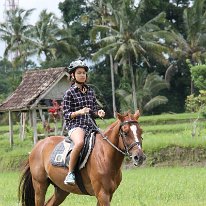 Horse Riding 11