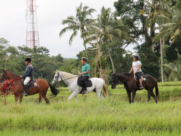 Horse Riding