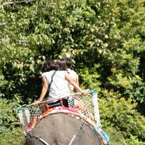 IMG_7276 19-55-05-543