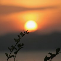 IMG_7059 19-54-52-634