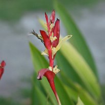 IMG_7069 19-54-52-959