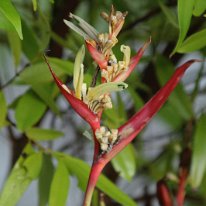 IMG_7070 19-54-52-990