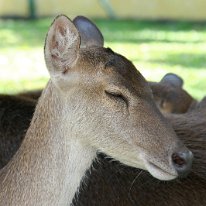 IMG_7234 19-55-00-885