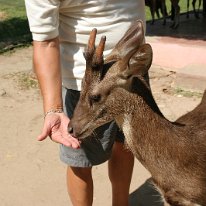 IMG_7253 19-55-01-304