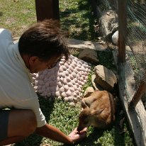 IMG_7254 19-55-01-335