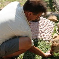 IMG_7256 19-55-01-438