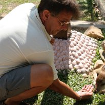 IMG_7257 19-55-01-461