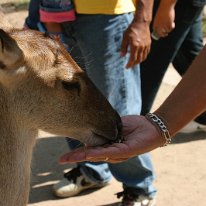 IMG_7258 19-55-01-505