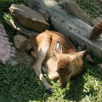 IMG_7260 19-55-01-572