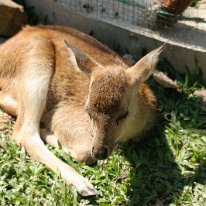 IMG_7261 19-55-01-614