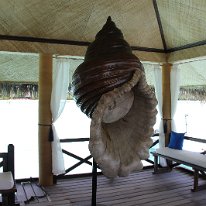 IMG_0780 19-52-15-557