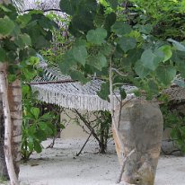 IMG_0475 19-52-07-925