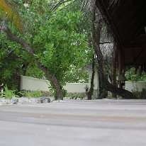 IMG_0477 19-52-07-941