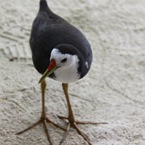 IMG_0493 19-52-08-105