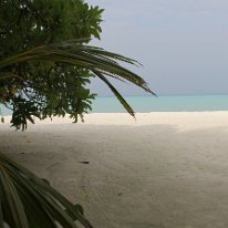 IMG_0496 19-52-08-162