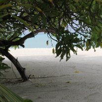 IMG_0498 19-52-08-199