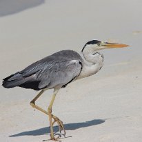 IMG_0525 19-52-08-625