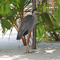 IMG_0526 19-52-08-645