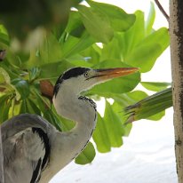 IMG_0531 19-52-08-701