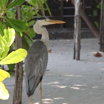 IMG_0538 19-52-08-811