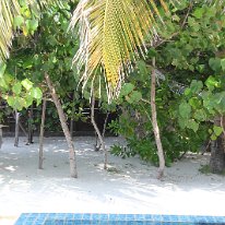 IMG_0539 19-52-08-817