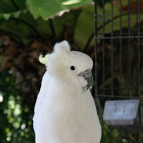 IMG_5496 19-54-00-719