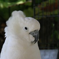 IMG_5497 19-54-00-732