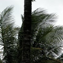 DSCN0443 19-51-34-334